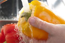 WORKSHOP- BOAS PRÁTICAS NA MANIPULAÇÃO DE ALIMENTOS PARA VENDEDORES AMBULANTES

